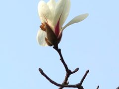 -桃源居(蠡园店)