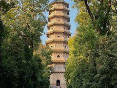 -灵谷景区