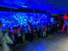 -太平洋海底世界