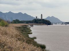 -江心屿景区