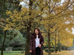 -西南交通大学(峨眉校区)