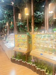 -森活木趣wooderfullife(益田假日广场店)