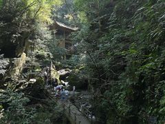 -藏龙百瀑风景区