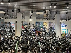 -捷安特自行车(中关村店)