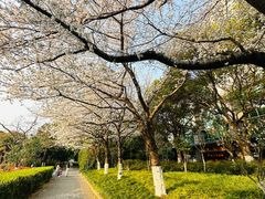 -昆山城市公园