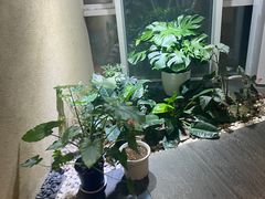 -小隐足道·按摩·主题SPA馆(西红门店)