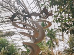 -南山植物园