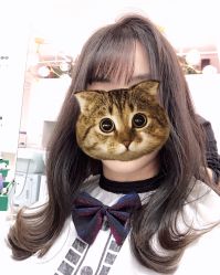 -潘多拉Hairsalon