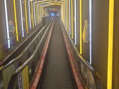 -Tenker Club弹刻极限主题公园 · 蹦床 · 团建 · 生日派对(大关店)