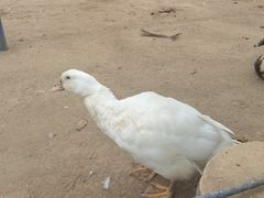 -森林公园(尖草坪区)