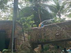 -新加坡水上探险乐园