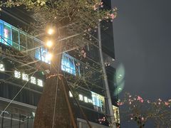 -坂田手造文化街