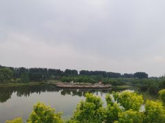 -东郊湿地公园