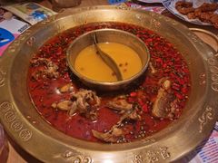 -哥老官重庆美蛙鱼头(圆融广场店)