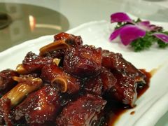 -雪园上海饭店(港湾1号店)
