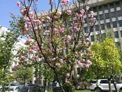 -云南师范大学(一二一西南联大校区)