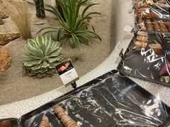 -OUR Bakery(SKP-S店)