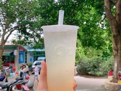蜂蜜柚子茶-益禾堂(电子科大北门店)