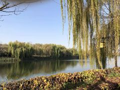 -西安汉城湖景区