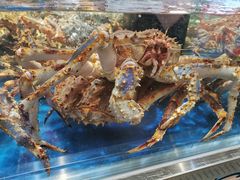 -盒马X会员店(王府井奥莱UP TOWN店)