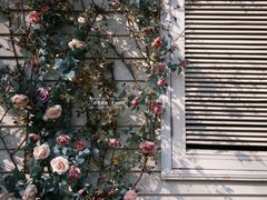 -花博汇(知音花月夜)