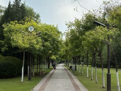 -南翠屏公园