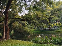 -人民公园(罗湖区)