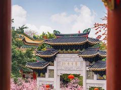-宝墨园景区