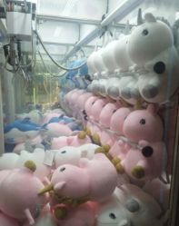-魔力嘟嘟城(西溪欢乐城店)