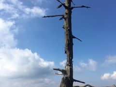 -罗田薄刀峰风景区