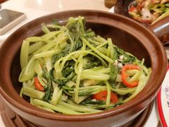 -潮庭港式茶餐厅·熊仔奶茶(同济广场店)