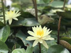 -长圻码头