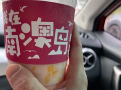 -南澳岛打卡果汁冰公司