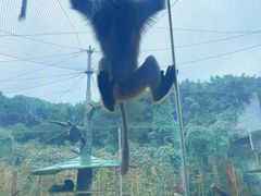 -杭州野生动物世界