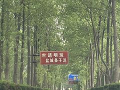 -黄海国家森林公园