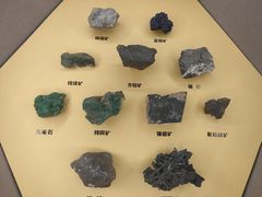 -湖南省地质博物馆