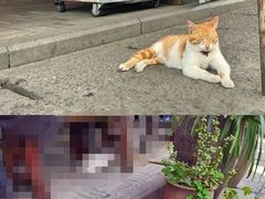 -安仁古镇