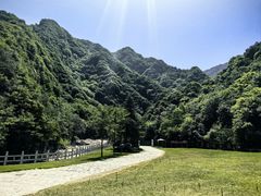 -秦岭终南山世界地质公园翠华山景区