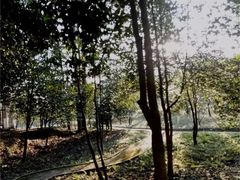 -贵州省植物园