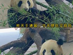 -云南野生动物园