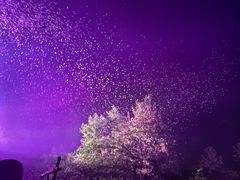 -常德桃花源景区