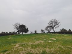 -缥缈峰景区