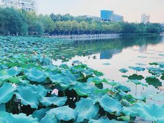 -南通濠河风景名胜区