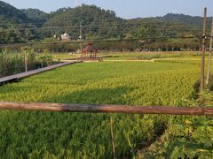 -红山村