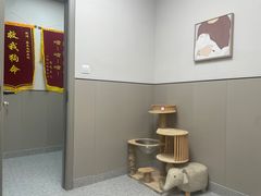 -嘉美宠物医院