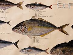 -镹·鱼料理  国产鱼使用店