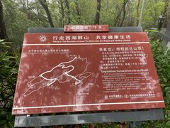 -九曜山