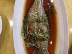 西湖清蒸鸦片鱼-青春·淮扬菜(东关街店)