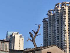 -石炮台公园