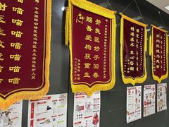 -中农国际动物医院24小时·猫科·骨科·急重症中心